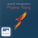 Sound introduction - Phoenix Rising ()