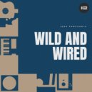 Igor Pumphonia - Wild And Wired (Original Mix)