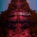 Pasha Push & TEILOR - Уточка ()