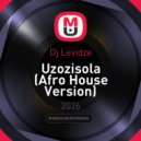 Dj Levidze - Uzozisola