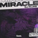 DJ Fluke - Miracle ()