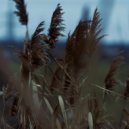 Cold Water - Drifting