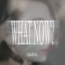 zaire. & ari melody - CTRLHALTDELETE ()