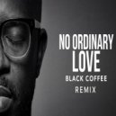 Sade - No Ordinary Love