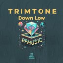 Trimtone - Down Low (Radio Edit)