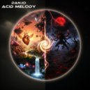 Dan.io - Acid Melody ()