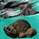 Alighted - Tupper\'s Crossing ()