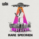 Wax - Rare Specimen ()