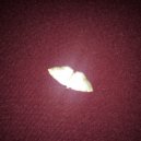 krysichback - Задний рупор ()