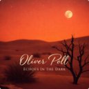 Oliver Poll - Echoes In The Dark