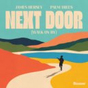 James Hersey & Palm Trees - Next Door (Walk On By)