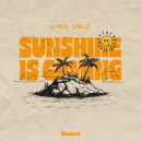 Karol Carlo - Sunshine is Coming