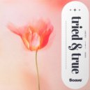 Lane Boy & Mason - Tried & True ()