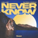AALLAR & Alyssa Raghu - Never Know
