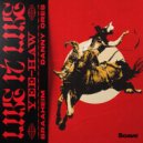 Braaheim & Danny Ores & Yee-Haw - Like It Like (Yee-Haw)