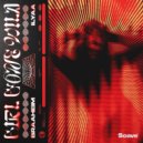 Braaheim & ILYAA - Girl Gone Wild