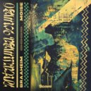 Braaheim & Moise - NITAUIMBA WIMBO ()