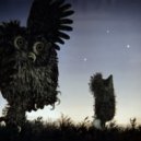 Fnx_fly - Phantom Feelling