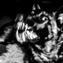 defoltfentonil - revolver ()