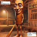 DJ BARBOSINA - Tung Tung Sahur ()