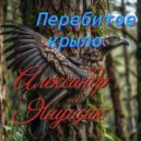 Александр Янущик - Перебитое крыло ()