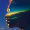 Nieve Pulse & Shiraz Javed - In The Light