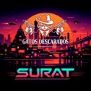 Gatos Descarados - Surat (Original Mix)