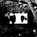 Newroaan - CONTINUATION OF SOUND ()