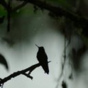 Fafastra & Sergei Prokofiev - Love So Strong ()