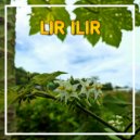 Syahrul - Lir ilir ()