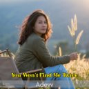 Adevv - You Won\'t Find Me Twice ()