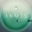 ANMTS - Birds and Waves