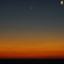 Ornette Hawkins - Entropology ()