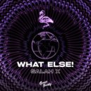 Salah X - What Else! ()