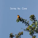 Purple Llusion - Heatstroke