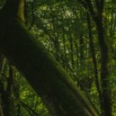 Tish' - Where Quiet Continues