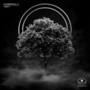 Echomorphosis - Remain