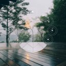 Deeppy LuLu - Mantra for Empty Rooms ()