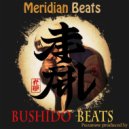 Puzanow - Universoldier ()