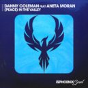 Danny Coleman Ft. Aneta Moran - (Peace) In The Valley (Extended Mix)