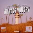 Olly Wall & Lane Boy & Lindal - What Do You Say