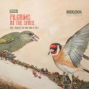 P1lgr1ms - At The Space (Original Mix)