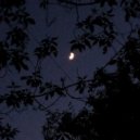 LOOTT - GIPNOZZZ FLOW (prod. by AyoPious)