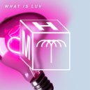 Rafael, Mita Gami - What Is Luv
