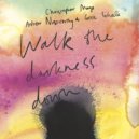 Christopher Mayo & Andrew Noseworthy - Walk the Darkness Down ()