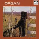 Norm Golden - Love With The Proper Stranger