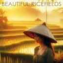 MRYD project - Beautiful Ricefields