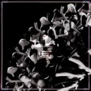 Argy, Massano - WAIT