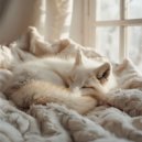 Zachte Zonsopgang - Zeezicht rustgevende momenten ()