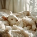 Zodiak Zucht - Zee stilte reflectie ()